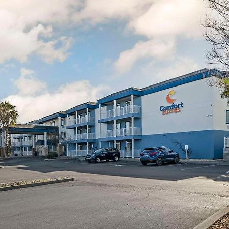 Comfort Suites Red Bluff Near I-5 Eksteriør bilde